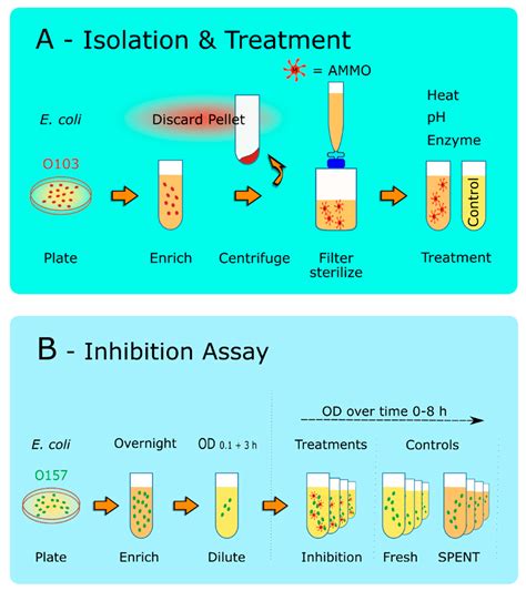 E Coli Treatment