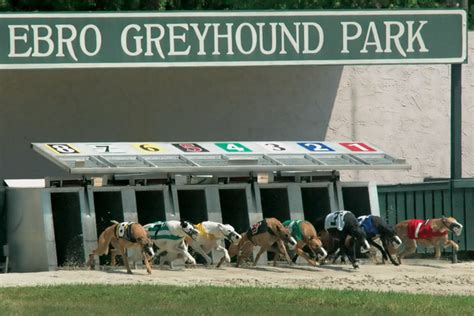 Ebro Greyhound Park Alamat