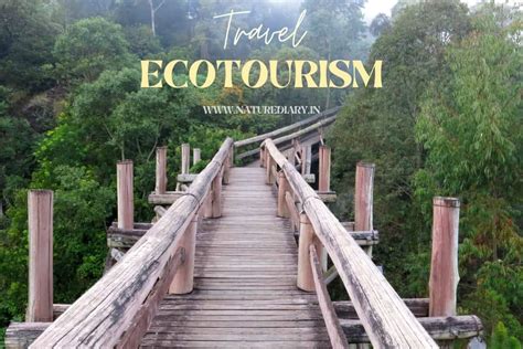 Ecotourism Importance Practices Amp Best Destinations