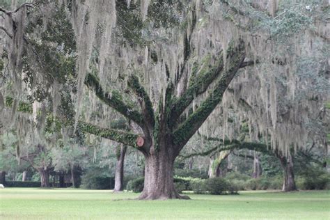 Eden Gardens State Park