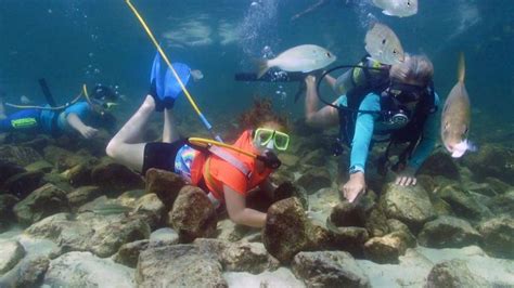 Enjoying Snuba In Florida Destin Snorkel