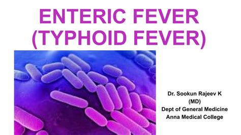 Enteric Fever Ppt