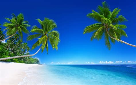 Exotic Beach Wallpapers Top Free Exotic Beach Backgrounds Wallpaperaccess