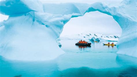 Expedition Cruises Your Ticket To Adventure