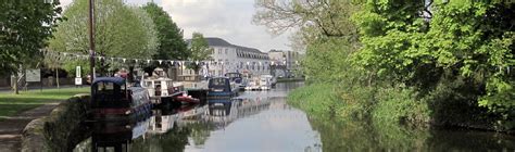 Experience Lively Bagenalstown With Discover Ireland