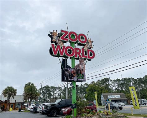 Experience The Best Of Nature At Zoo World In Panama City Beach