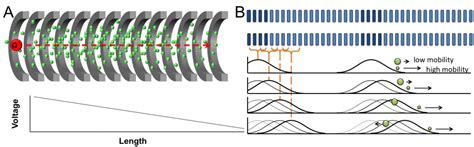 Experimental Validation Of An Ion Simulation Model For Traveling Wave