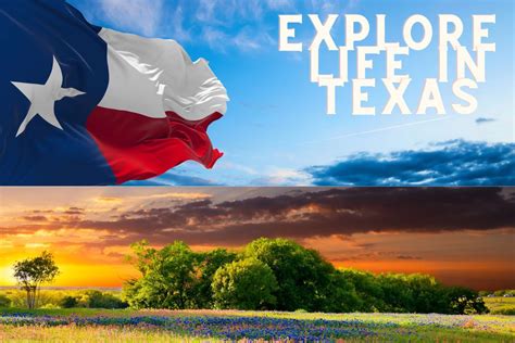 Explore Life In Texas Texini