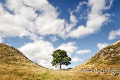 Explore These Crowd Free Beauty Spots In The Uk And Ireland Fleet Hartley Wintney Odiham