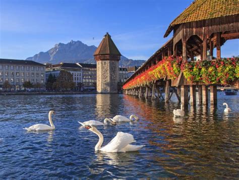 Exploring The Swiss Gems Zurich And Lucerne Real Travel Experts