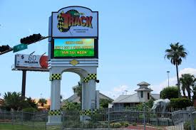 Family Fun At The Track Destin Destin Florida Attractionsdestin Florida Attractions