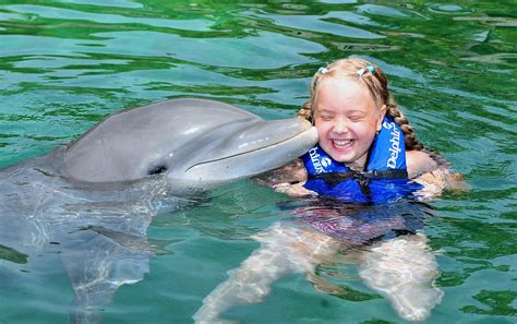 Faq Swimming With Dolphins