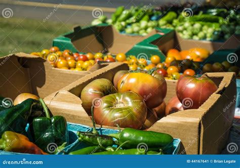 Farmers Market Fresh Produce Stock Image Image Of Freshness Dieting 44167641