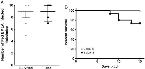 Figure 1 From A Tick Vector Transmission Model Of Monocytotropic Ehrlichiosis Semantic Scholar