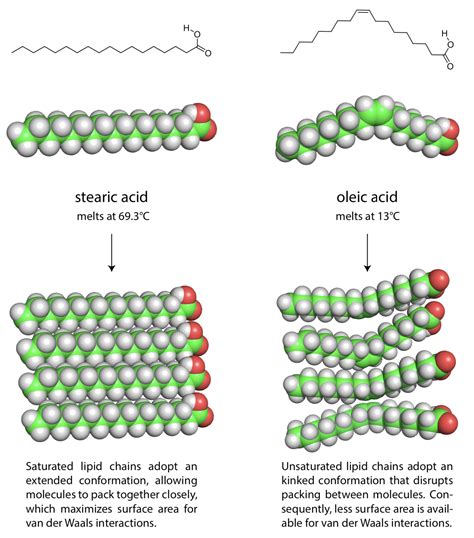 Figure 4 From Structural Characterization Of Unsaturated