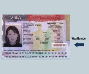 Find Your Visa Number On Your U S Visa In 2023 Visanation