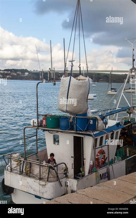 Fishing Boat Crew Landing Catch At Hobbs Point Pembroke Dock Wales Uk Stock Photo Alamy