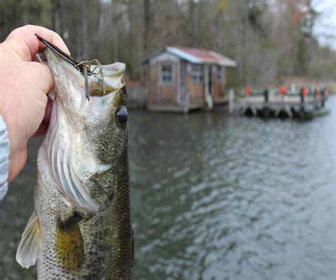 Fishing Destin Guide A Local Amp 39 S Guide To Fishing The Destin Area