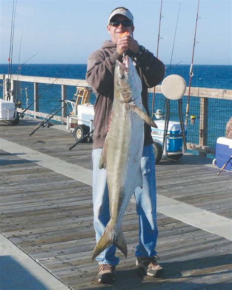 Fishing Off The Pier In Destin Fl Unique Fish Photo