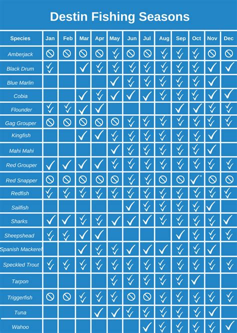 Fishing Seasons In Destin The Complete Guide For 2024