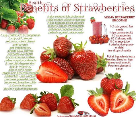 Fitness Allegator Health Benefits Of Strawberries