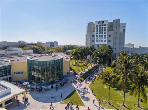 Fiu