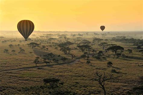 Five Of The Best Safari Itineraries In Tanzania