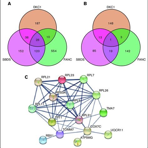 Five Way Venn Diagrams Detailing The Overlap Between Significantly