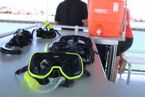 Flipper Amp 39 S Adventures Snorkeling Find Things To Do In Destin Florida To Do In Destin