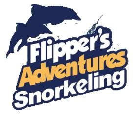 Flippers Adventures Sunshine Watersports Fournisseur Getyourguide