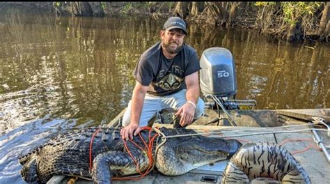 Florida Alligator Hunt Scott Fish Gets Gator On Choctawhatchee River