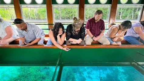 Florida Attraction Silver Springs To Get Glass Bottom Boat For