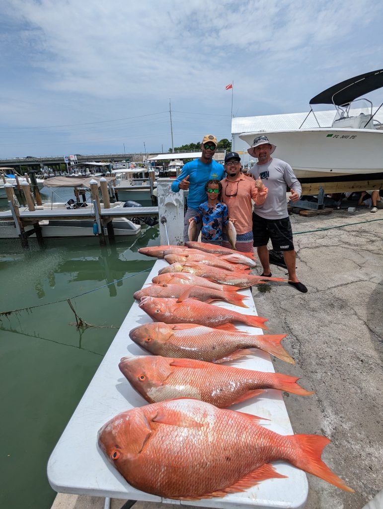 Florida Keys Bait Shops Fishing Tackle And Bait Shop