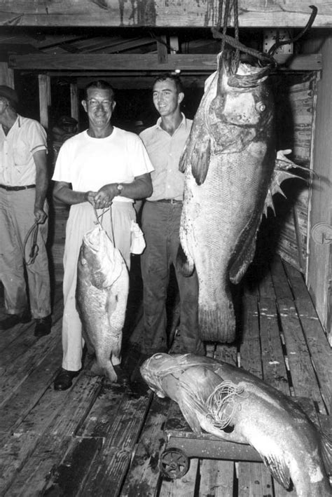 Florida Memory Fishermen Pose With Prize Winning Fish Destin Florida