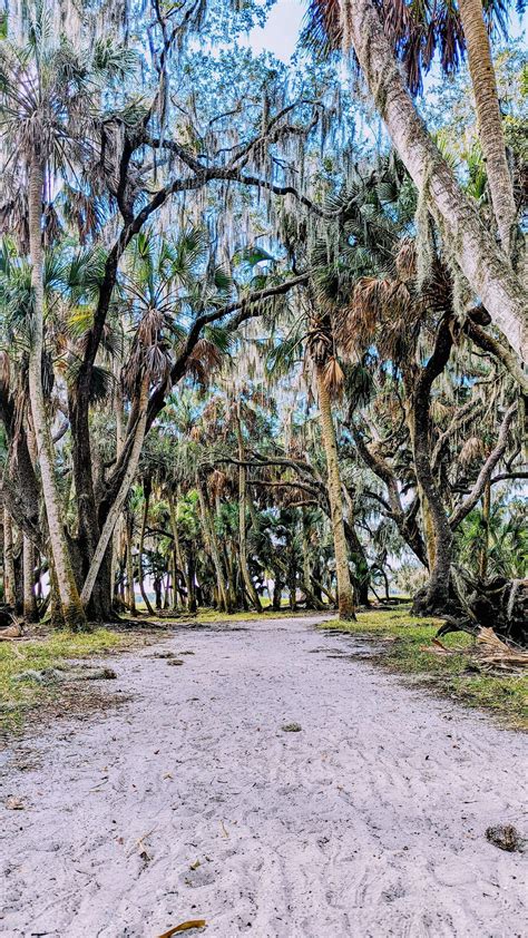 Florida S Hidden Gems Mommy Travels