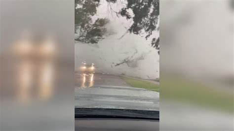 Florida Un Tornado Attraversa La Strada E Strappa Gli Alberi