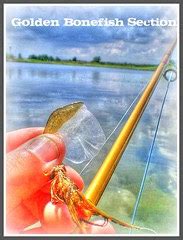 Fly Fish Addiction Destin Florida Countdown