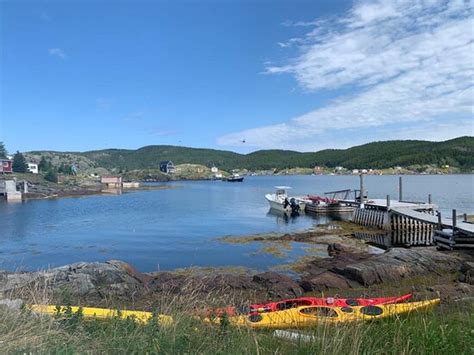 Fortune Photos Featured Images Of Fortune Newfoundland Tripadvisor