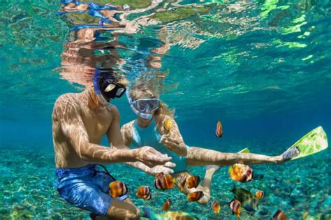 Four Of The Best Snorkeling Destinations In The World Kauai Tours