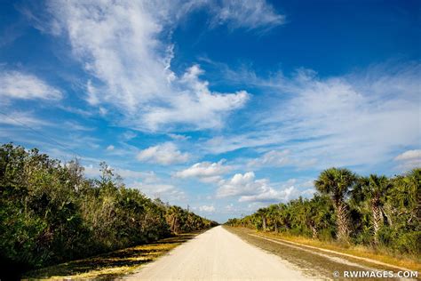 Framed Photo Print Picture Of Birdon Road Big Cypress National Preserve