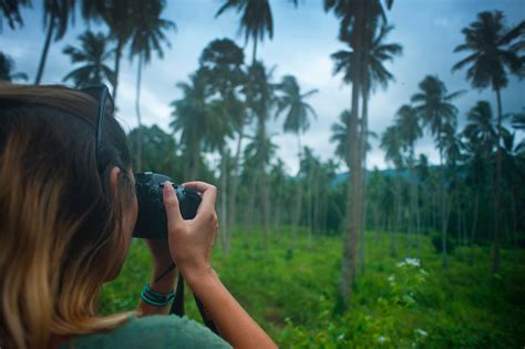 Free Images Green Palm Tree Arecales Leaf Jungle Plant Fun