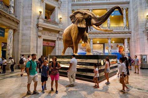 From The Zoo To The Natural History Museum This Comprehensive Guide