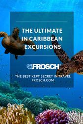 Frosch Travel Froschtravel Profile Pinterest