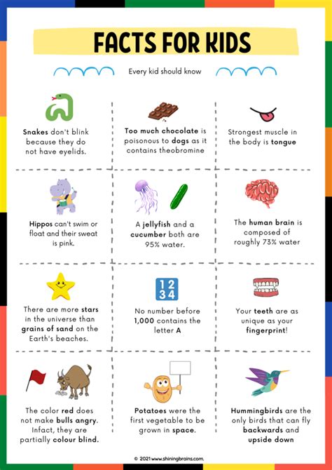 Fun Facts For Kids 30 Facts For Kids Every Kid Should Know Fun