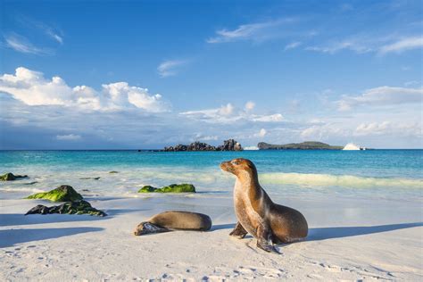 Galapagos Islands Travel Guide