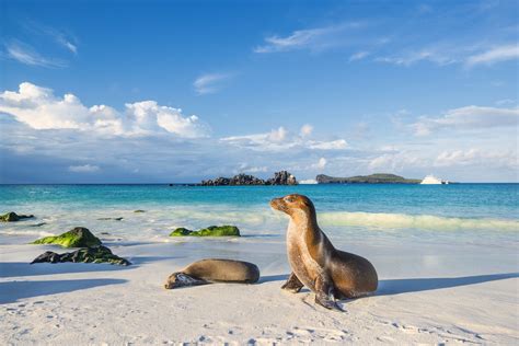 5 Galapagos Travel Tips