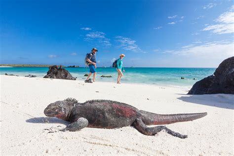 5 Tips Galapagos Travel