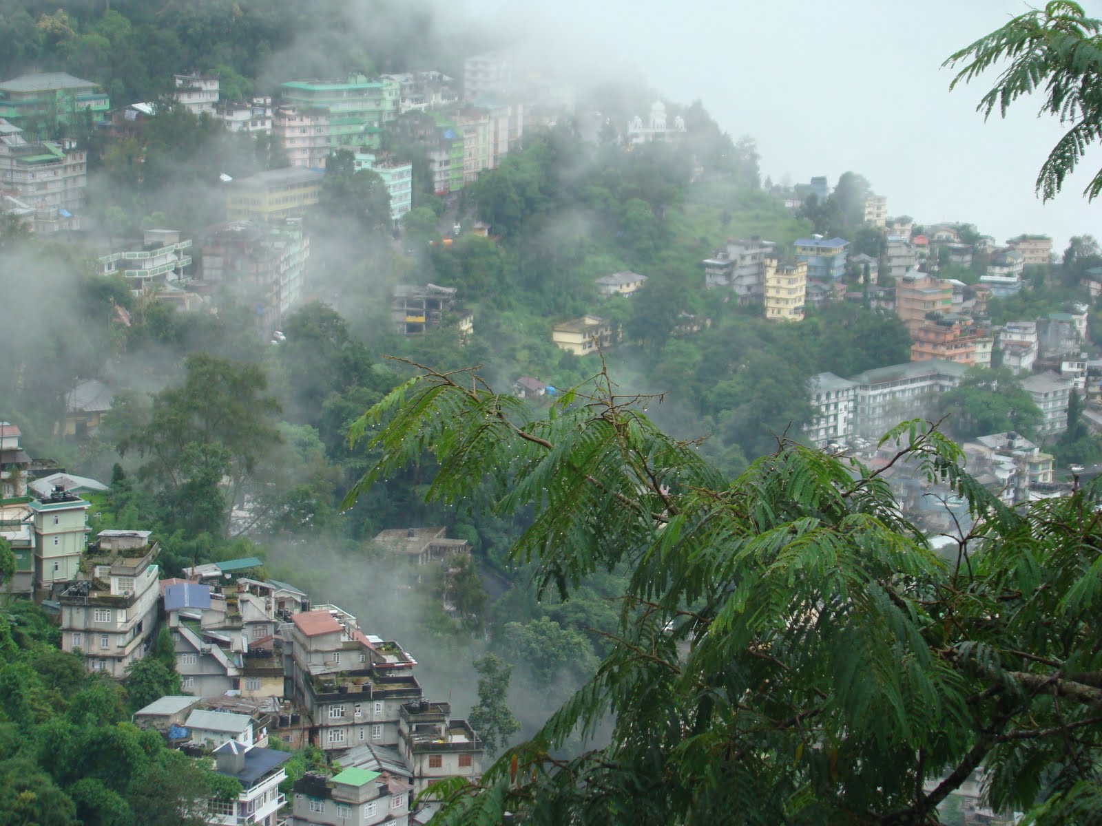 Gangtok Honeymoon Guide Gangtok Romantic Travel Ideas Honeymoon Packages