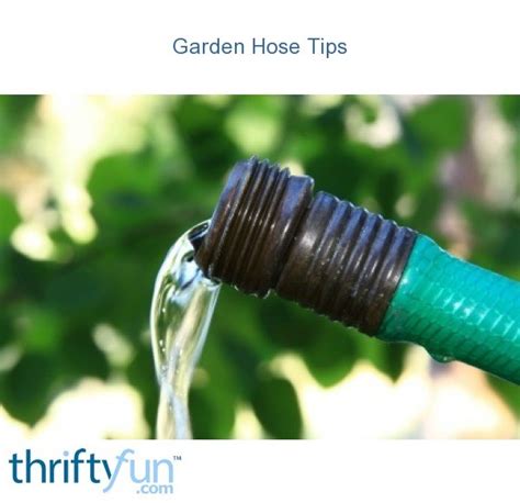 Garden Hose Tips And Tricks Thriftyfun