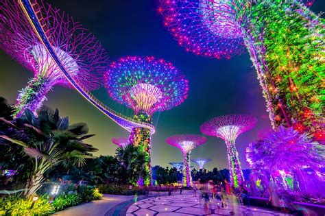 Gardens By The Bay Supertrees Of Singapore Light Up Night Sky Daily